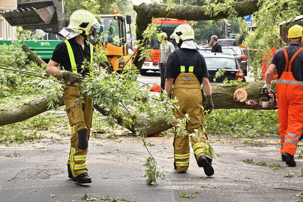 Feuerwehr_Baum   016.jpg